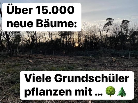 Über 15.000 neue Bäume
